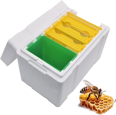 Bijenkorf - Imkerij Materiaal - Bijen Houden - Thermoschuim Constructie - 17.5D x 16B x 17.5H cm - Niet gespecificeerd