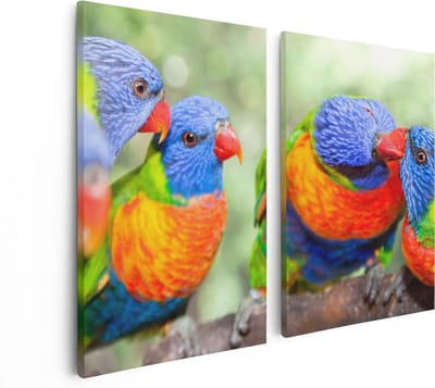 Artaza Canvas Schilderij Tweeluik Vier Regenboog Lori Vogels Op Een Tak - 80x60 - Foto Op Canvas - Canvas Print