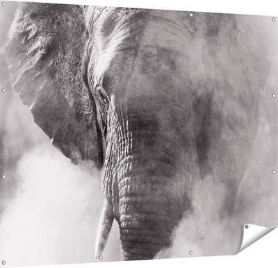 Gards Tuinposter Olifantenkop - Olifant - Zwart Wit - 150x120 cm - Tuindoek - Tuindecoratie - Wanddecoratie buiten - Tuinschilderij