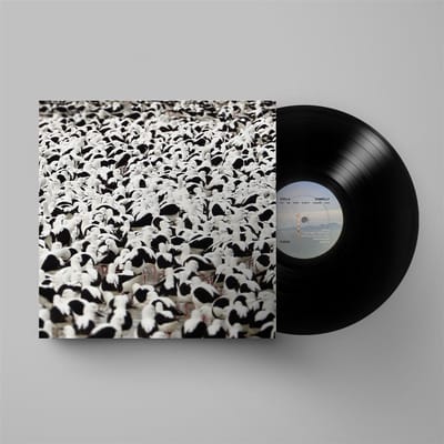 Stella Donnelly - Flood (LP)