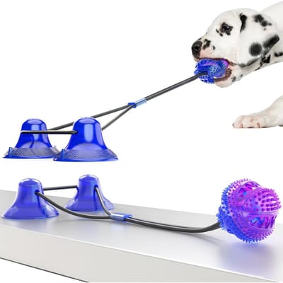 Puppy Speelgoed Bal Zuignap Ideaal voor Honden Trek Touw Voedsel Lekkend Tanden Slijpen Tanden Poetsen Ventilatielbal Huisdieren Honden Speelgoed Accessoires Hoge Kwaliteit