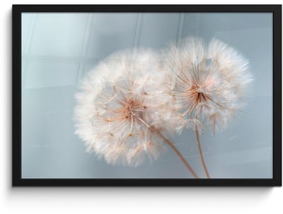 Poster in lijst - Fotolijst 60x40 cm - Posters - Paardenbloemen - Pluisjes - Wit - Posterlijst zwart - Decoratie - Wanddecoratie woonkamer - Muurdecoratie slaapkamer