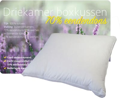 iSleep 3-Kamer Donzen Hoofdkussen - Boxkussen - Eendendons - 55x65x5 / 60x70 cm - Wit