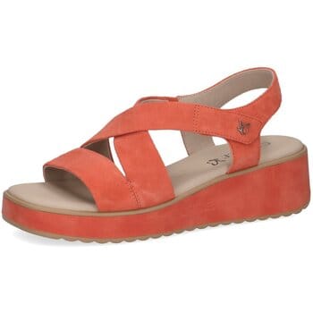 Sandalen met sleehak Caprice -