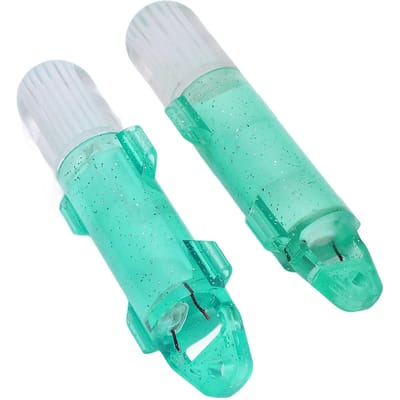 2 STUKS Onderwater Vislicht Glasvezel LED Diepwater Vissen Licht Knipperende Lokmiddelen Vis
