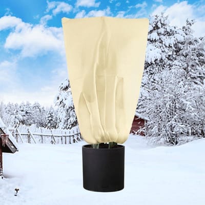 Winterbescherming 250 x 360 cm - Palmen - 80 g/m² Vliesstof - Beige - Plantenbescherming - Citroenboom - Potplanten - Winter vliesdoek plantenbescherming
