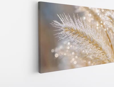 Canvas Schilderij - Rietpluimen in Winterlicht - Glinsterende Natuur - Foto op canvas - Wanddecoratie - Scandinavisch Design - 45x30