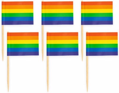 50x Cocktailprikkers Regenboog- Hapjes Cocktail Tapas Zomer Terras Prikkers