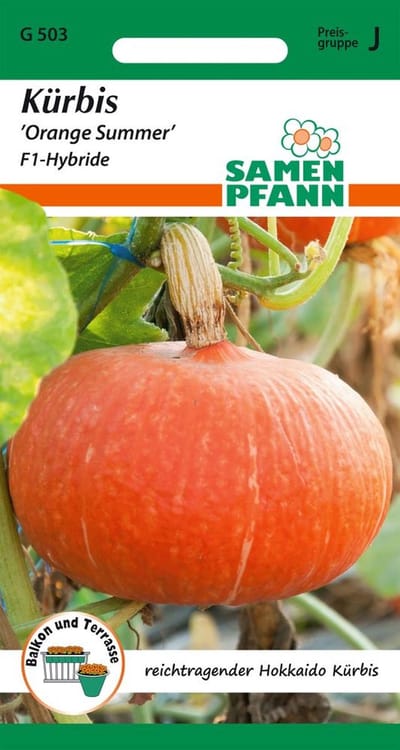 Pompoen, Oranje Zomer F1 (Hokkaido pompoen) - Groentezaden, pompoenpitten, zaailingen