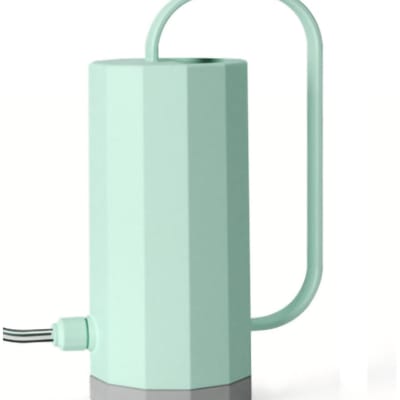 Arrosoir en Acier Inoxydable à Bec Long Pot d'Arrosage pour Plantes avec Grande Poignée Humanisée pour Jardin Vert Menthe vert