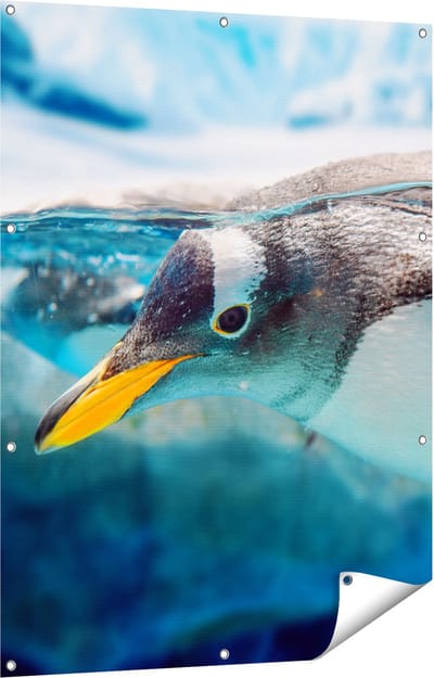 Gards Tuinposter Pingu�n Zwemt onder Water - 90x120 cm - Tuindoek - Tuindecoratie - Wanddecoratie buiten - Tuinschilderij