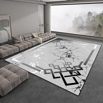 Licht Luxe Grijs Grote Vloerkleden voor Woonkamer Europees Eenvoudig Slaapkamer Decoratie Tapijt Zacht Antislip Lounge Salontafels Mat 200*230cm