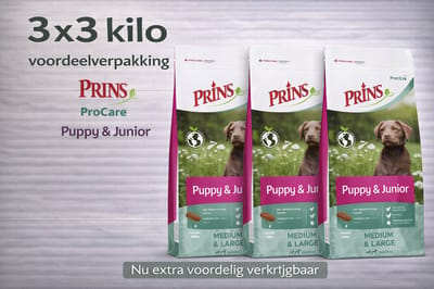 Prins ProCare Puppy & Junior - 3x 3kg Voordeelverpakking