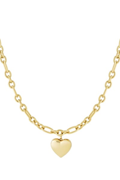 Bijoutheek Collier Dik Hart Schakel Goud
