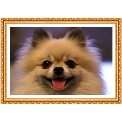 Peinture Diamant Ronde Complète DIY Point de Croix Décoration Ménagère Chien Peinture Broderie Diamant 20X30CM beige