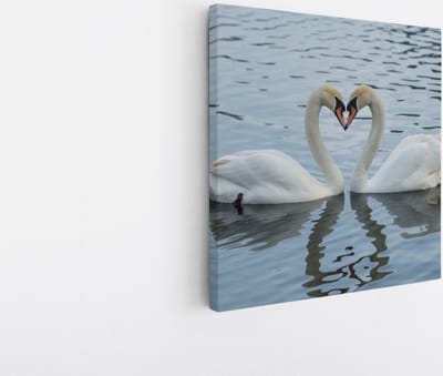 Saammp Canvas Schilderij - 2 Zwanen - Hartvorm - Natuur - Dieren - 20x20 - Foto op canvas - Wanddecoratie - Muurdecoratie Woonkamer - Slaapkamer decoratie - Canvas Print