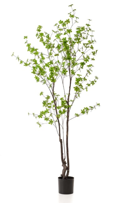 Kunstplant Tropaeolum Speciosum - realistische groene decoratie - 210 cm hoog