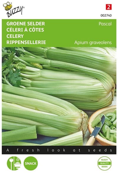 Buzzy Selder Pascal, Groene Volpijp
