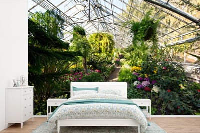 Behang - Fotobehang Botanische tuin in een kas - Breedte 330 cm x hoogte 220 cm