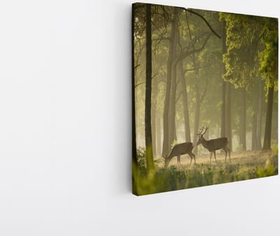Saammp Canvas Schilderij - 2 Herten in het bos - Dieren - Landschap - Natuur - 20x20 - Foto op canvas - Wanddecoratie - Muurdecoratie Woonkamer - Slaapkamer decoratie - Canvas Print