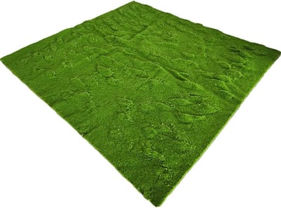 Mosmat Kamerplanten - Synthetisch Gras - Decoratief Gebruik - Onderhoudsvrij - 1x1 Meter - Groen