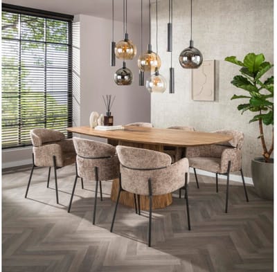 Armstoel ronde rug VPE2 - Rich champagne - eetkamerstoelen set van 2