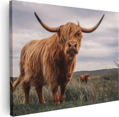Artaza Canvas Schilderij Hooglander - 40x30 cm - Klein - Canvas Schilderijen Woonkamer - Muurdecoratie Natuur - Kamer Accessoires