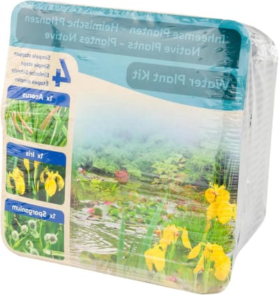 Waterplanten Set - Vijverplanten Kit - Vijver Verfraaien - Compleet Inclusief Mand - 18 cm Mand - Paars