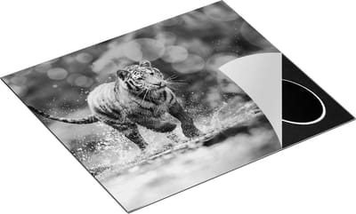 Chefcare Inductie Beschermer Tijger Loopt in het Water - Zwart Wit - 60x50 cm - Afdekplaat Inductie - Kookplaat Beschermer - Inductie Mat