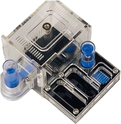 Mierenboerderij Nest - Mieren Kasteel - Educatief Observeren - Hydraterend Zwembad - 8x6x6 cm - Zwart