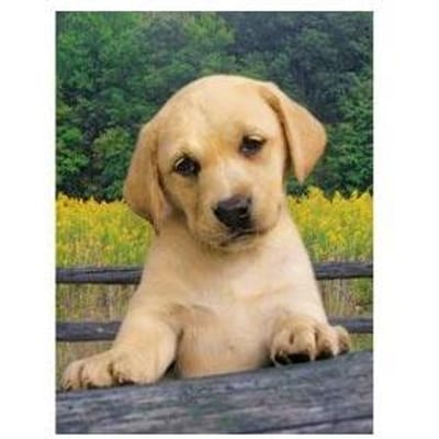 Clementoni Peanuts 1000st Volwassenen puzzels