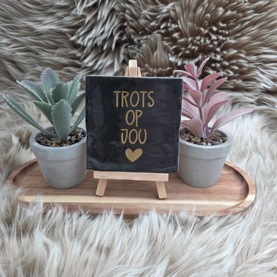 Robuust Wenstegeltje – Trots op jou – Hip trendy tegeltje – 10x10 cm – Wanddecoratie – Cadeau voor geslaagd, speciale gelegenheid of zomaar – Sfeervol en Persoonlijk – Trendy nu – Decoratief Tegeltje met Standaard – Cadeau Idee