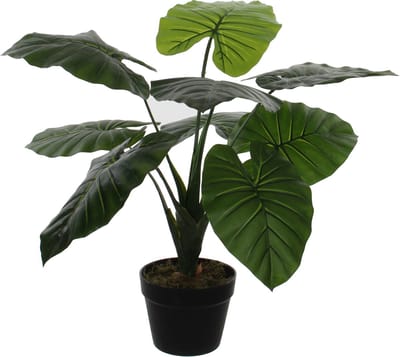 Groene Colocasia Taro kunstplant 60 cm in zwarte plastic pot - Kunstplanten/nepplanten