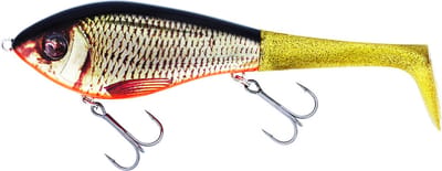 Westin Swim Tail Suspending | 12cm | 62g Read Rudd 12cm