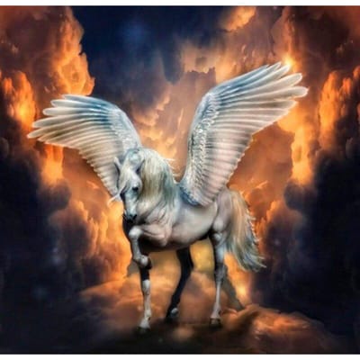 Diamant borduurwerk DIY borduurwerk ambachtelijke schilderij heldere strass vlammende Pegasus Diamond Wall Art 30x30CM gray