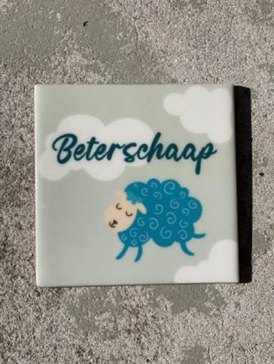 Tegeltje beterschaap| Hippe Spreuktegel | Nieuwe woning cadeau | Tegeltje met tekst |Verjaardagscadeau | Birthday |Verjaardag |brievenbuscadeau