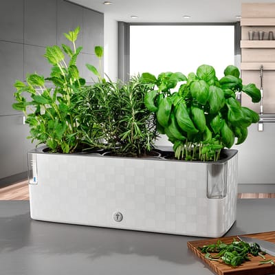 Cobble Trio - Slimme kruidenpot met bewateringssysteem - Kristalwit - Kruidenbak - Kweekbak - Plantenbak