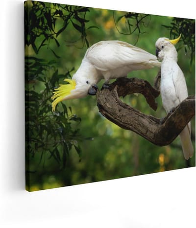 Artaza Canvas Schilderij Vogels Op Tak - 50x40 cm - Muurdecoratie Kaketoe - Wanddecoratie Dieren - Kamer Accessoires
