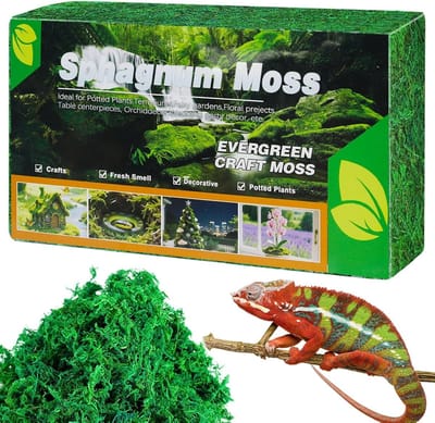 Sphagnum Mos voor Planten en Orchideeën - Premium Natuurlijke Bodem voor Terrarium en Reptielen