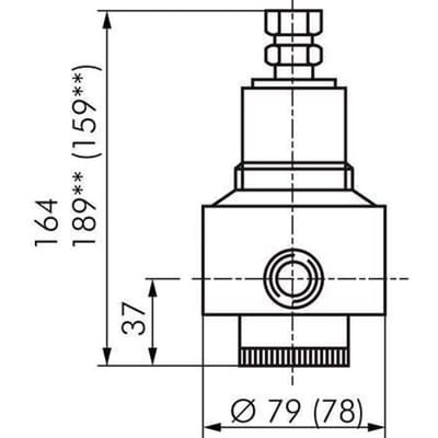 Vervangingsmembraan PTFE/NBR 1/2''.