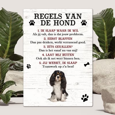 Spreuken - King Charles - Regels Van De Hond - Spreuken Bordjes - Spreukenbord - Tekstborden - Cadeau - Hondenras
