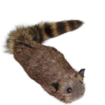 Goochelaarsattributen Rocky Raccoon Magische Veer-aangedreven Bijtende Hand Truc Levensgetrouwe Bewegende Raccoon Simulatie Grappige Grappen