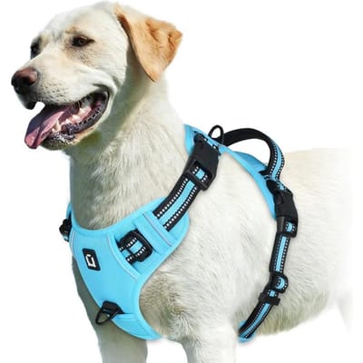 Verstelbaar Zacht Gevoerd Anti-trek Hondentuig Makkelijk Bedienbare Handgreep Huisdier Vest Comfortabel Trainingsmateriaal Voor Honden (sky blue,S) hemelsblauwe kleur
