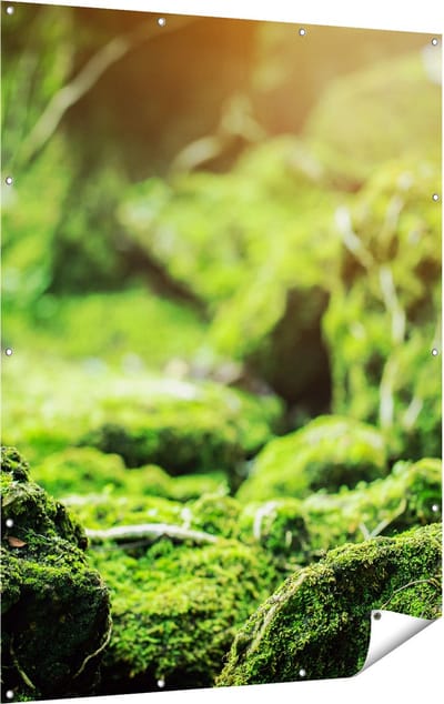Gards Tuinposter Groen Mos Bedekt over Stenen - 120x160 cm - Tuindoek - Tuindecoratie - Wanddecoratie buiten - Tuinschilderij