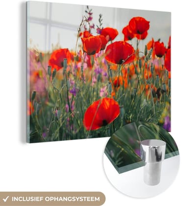 MuchoWow® Glasschilderij 40x30 cm - Schilderij acrylglas - Klaproos - Bloemen - Rood - Paars - Weide - Foto op glas - Schilderijen