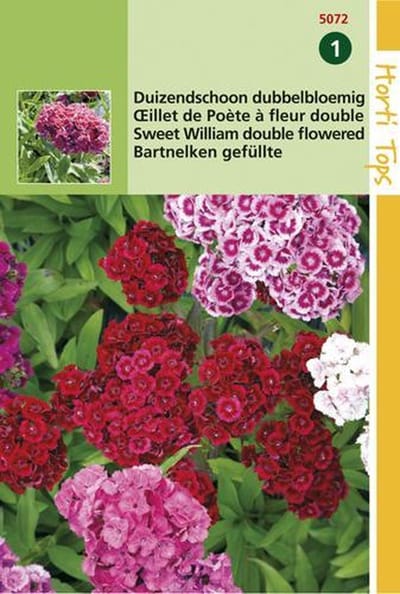 Hortitops Duizendschoon Bloemzaad - Dianthus Barbatus Dubbelbloemig - Gemengd