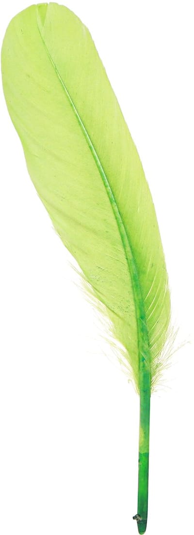 Decoratieve veren voor handwerk ganzenveren lichtgroen 20 g x 2 stuks,