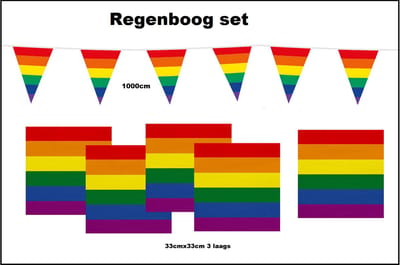 1x Vlaggenlijn regenboog 1000cm + 20x Servetten regenboog 33cm x 33cm 3 laags - Regenboog set - Rainbow thema feest Pride