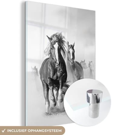 MuchoWow® Glasschilderij 120x160 cm - Schilderij acrylglas - Paarden - Dieren - Illustratie - Foto op glas - Schilderijen
