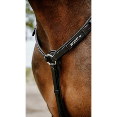 Jachthalsband voor paarden Norton Pop